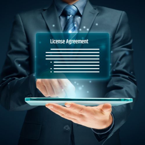 Technology and Software Licensing