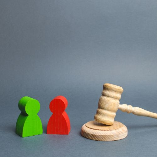 IP Litigation and Dispute Resolution
