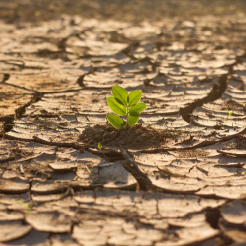 Climate Change Laws